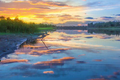 光影定格，見(jiàn)證榮耀——伊比沙杯廊坊首屆攝影大展獲獎(jiǎng)公示暨專(zhuān)業(yè)攝像服務(wù)回顧